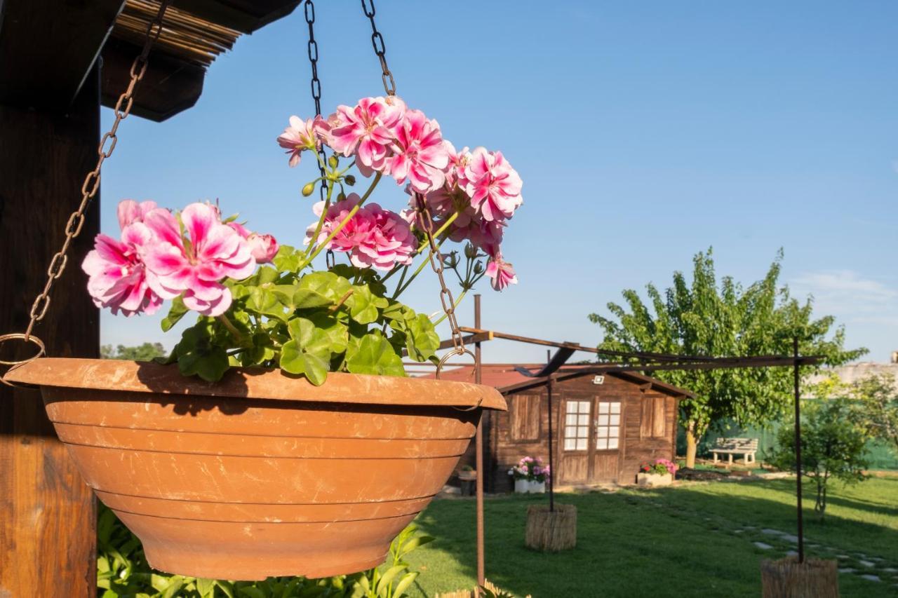 Bed and Breakfast A Lu Fanizza à Cutrofiano Extérieur photo